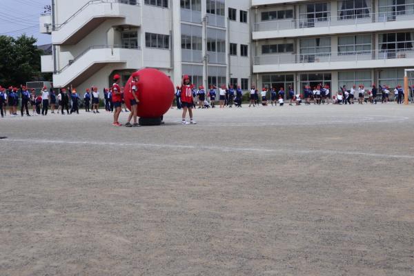 写真②