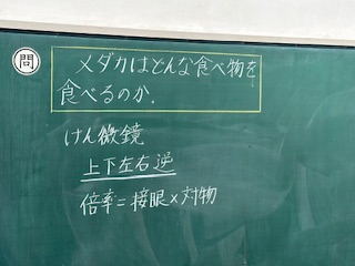 IMG_9095