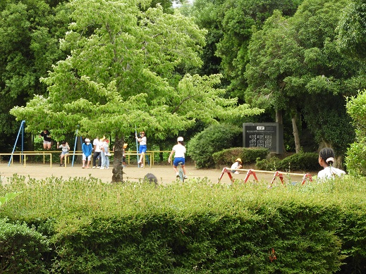 ７月１１日外遊び３