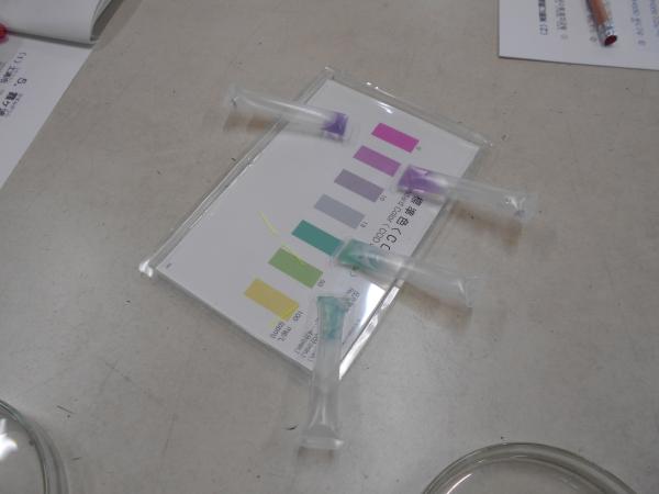 DSCN1624