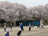 桜の景色
