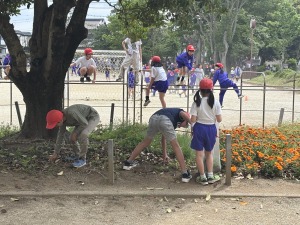 ボランティア活動