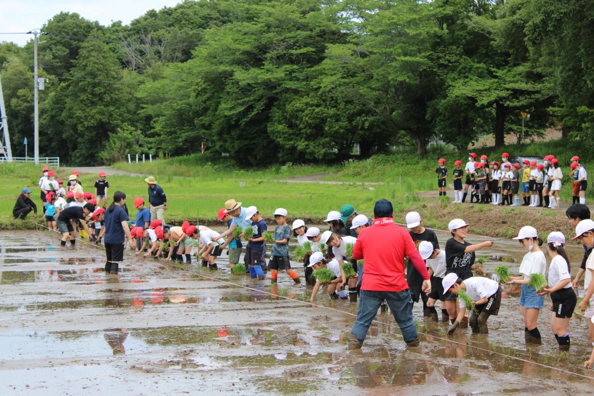 ３・５年田植え