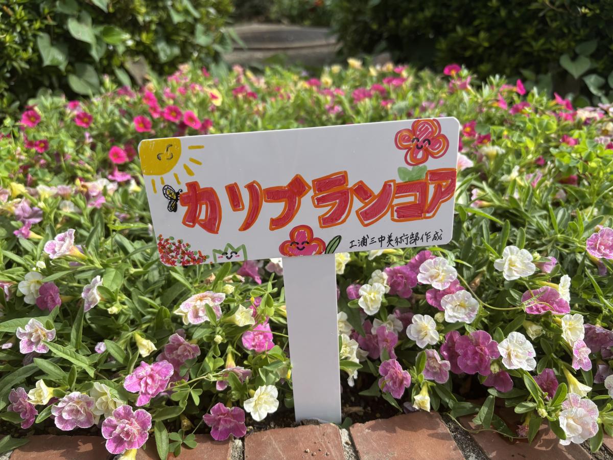 花壇×美術部コラボ！